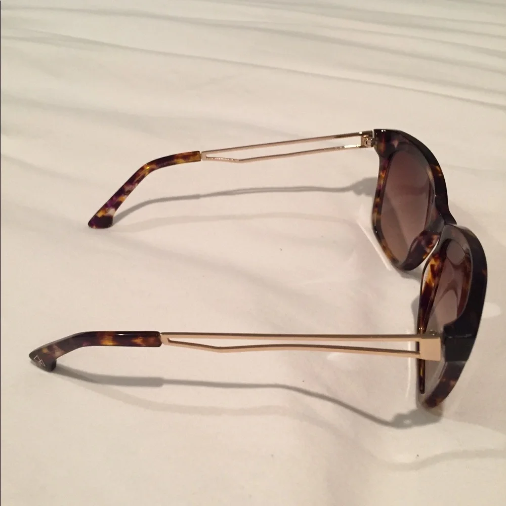 Third Culture Tortoise sunglasses
